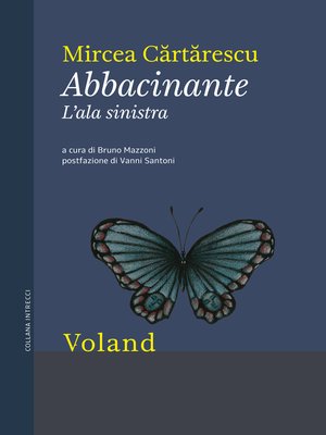 cover image of Abbacinante. L'ala sinistra